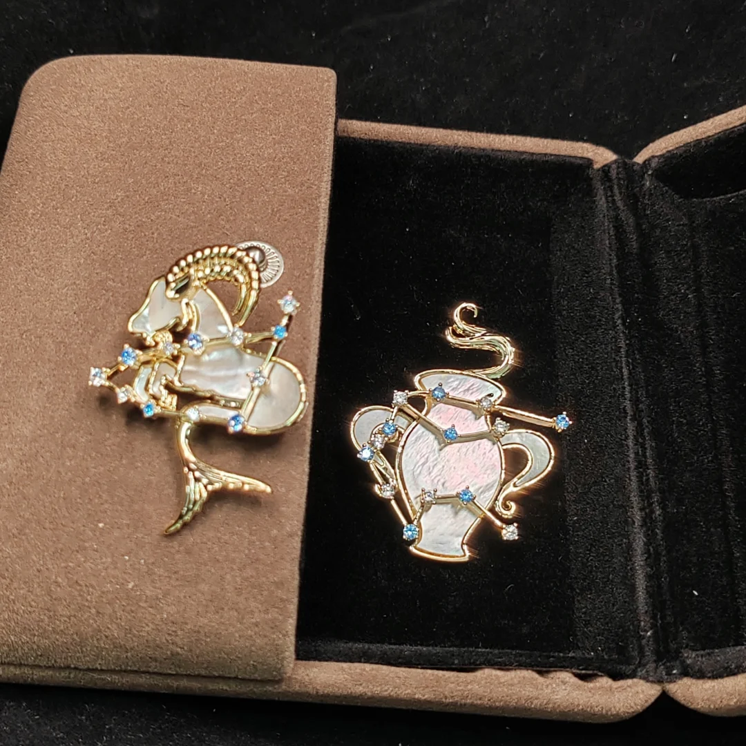 Natural Mother of Pearl Capricorn Brooch - Image 5