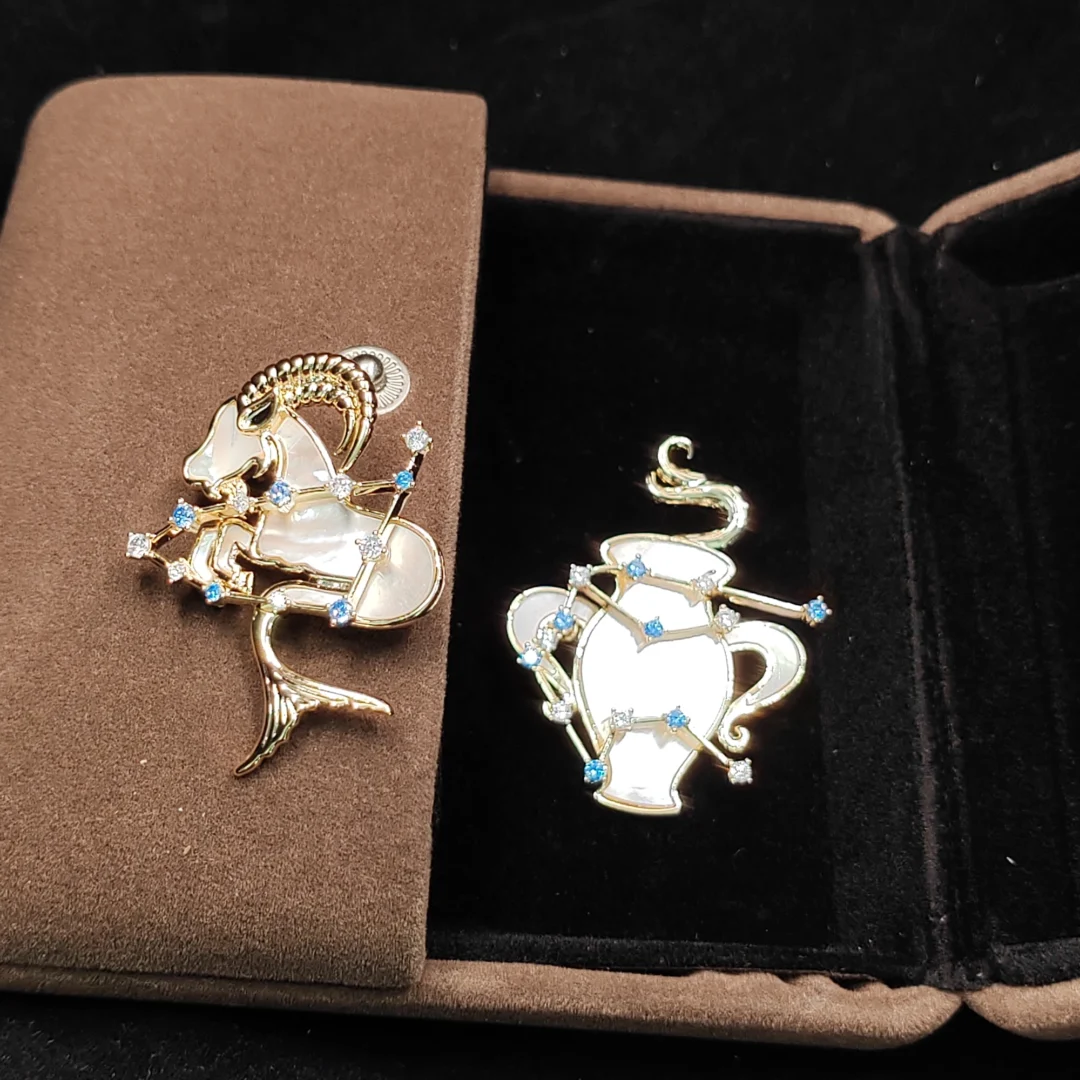 Natural Mother of Pearl Aquarius Brooch - Image 6