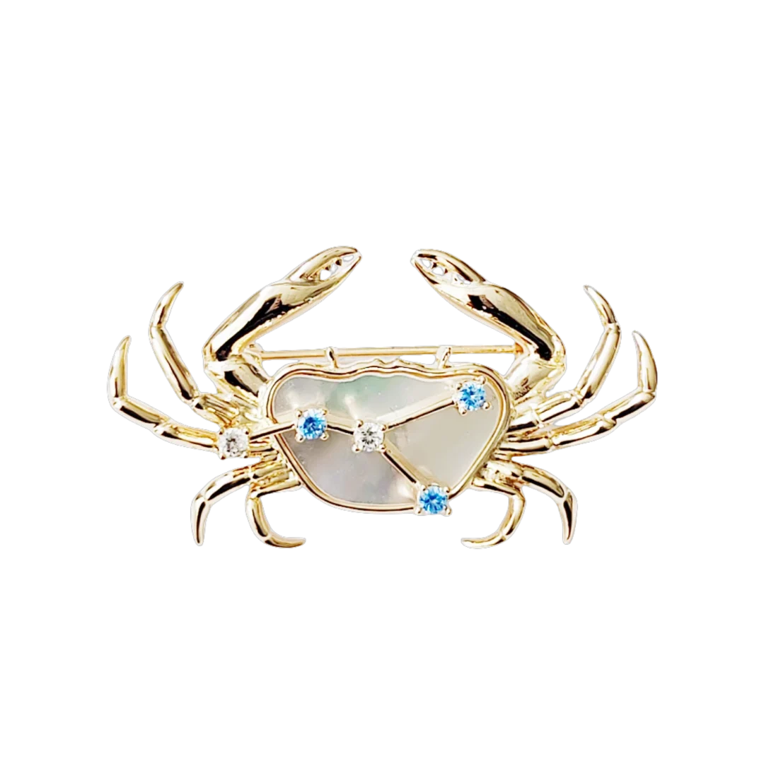 Natural Mother of Pearl Cancer Brooch