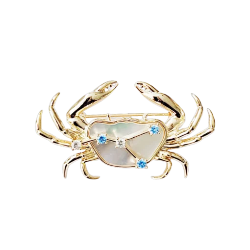 Natural Mother of Pearl Cancer Brooch