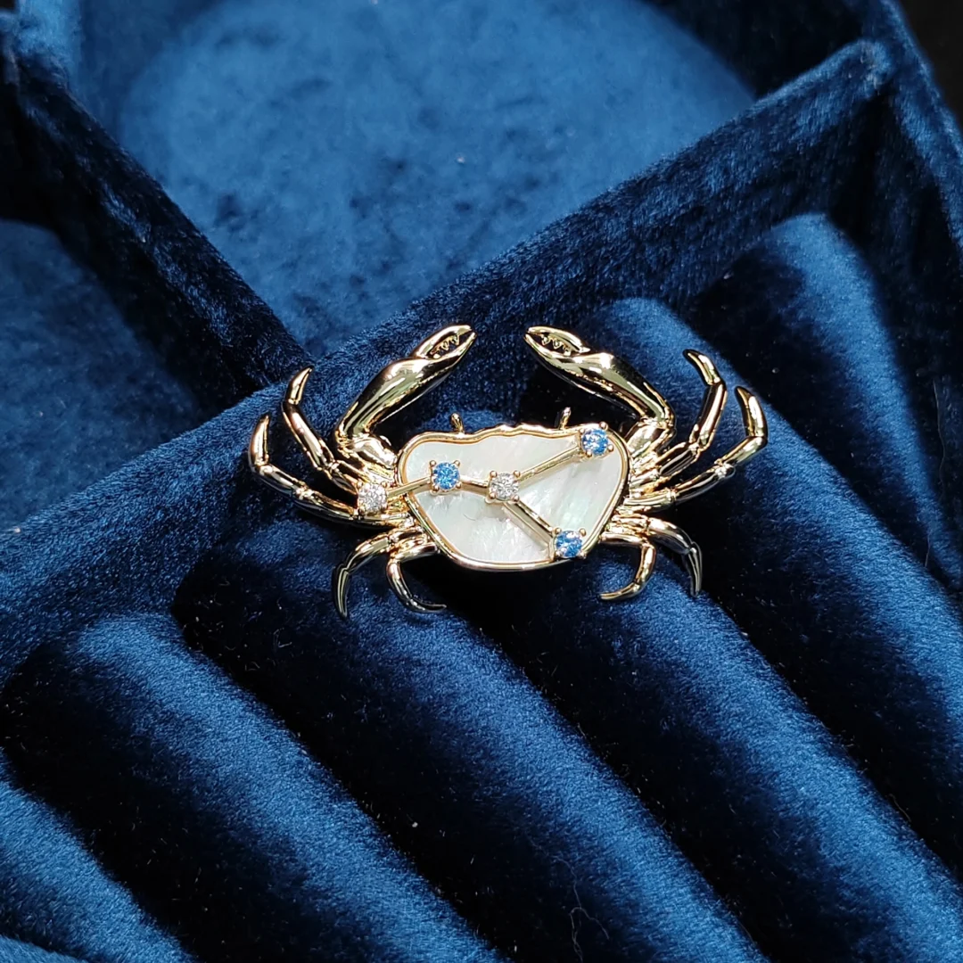 Natural Mother of Pearl Cancer Brooch - Image 2